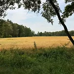 Tiny House Mit Saunafass Im Wendland Dom wakacyjny *