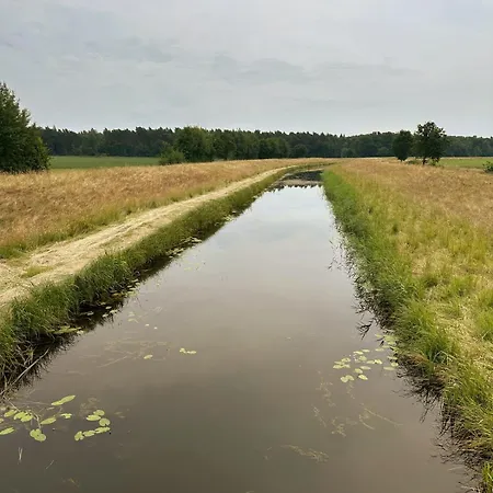 Dom wakacyjny Tiny House Mit Saunafass Im Wendland