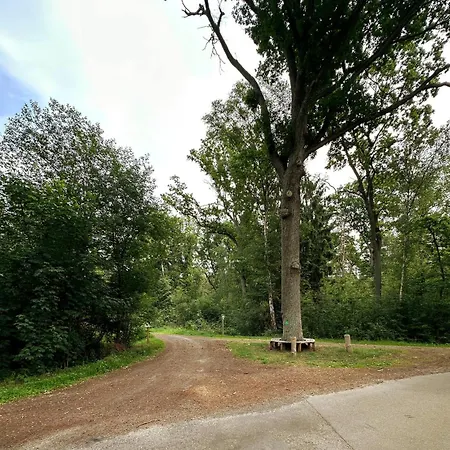 Tiny House Mit Saunafass Im Wendland *