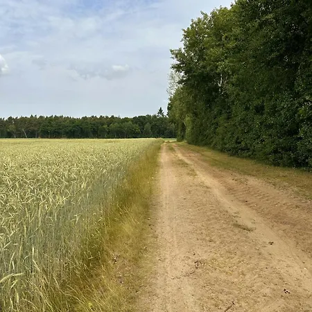 Tiny House Mit Saunafass Im Wendland Dom wakacyjny