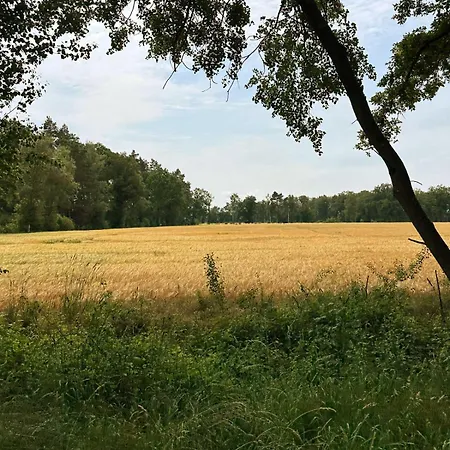Tiny House Mit Saunafass Im Wendland Dom wakacyjny *